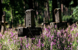 Заброшенное кладбище фото