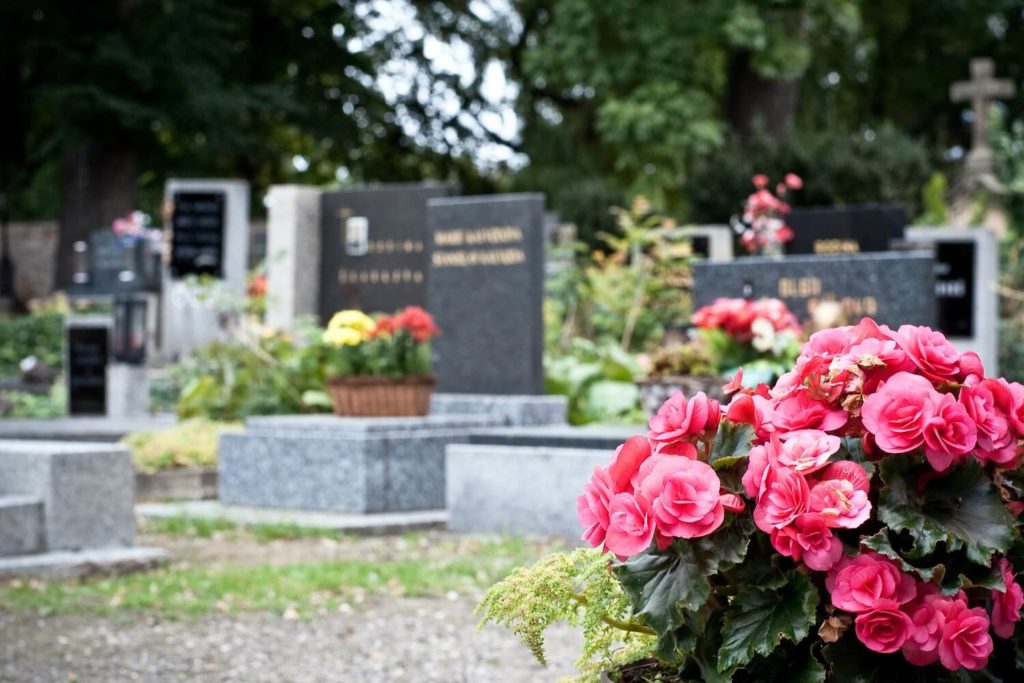 Какие цветы лучше сажать на кладбище многолетние неприхотливые с фото